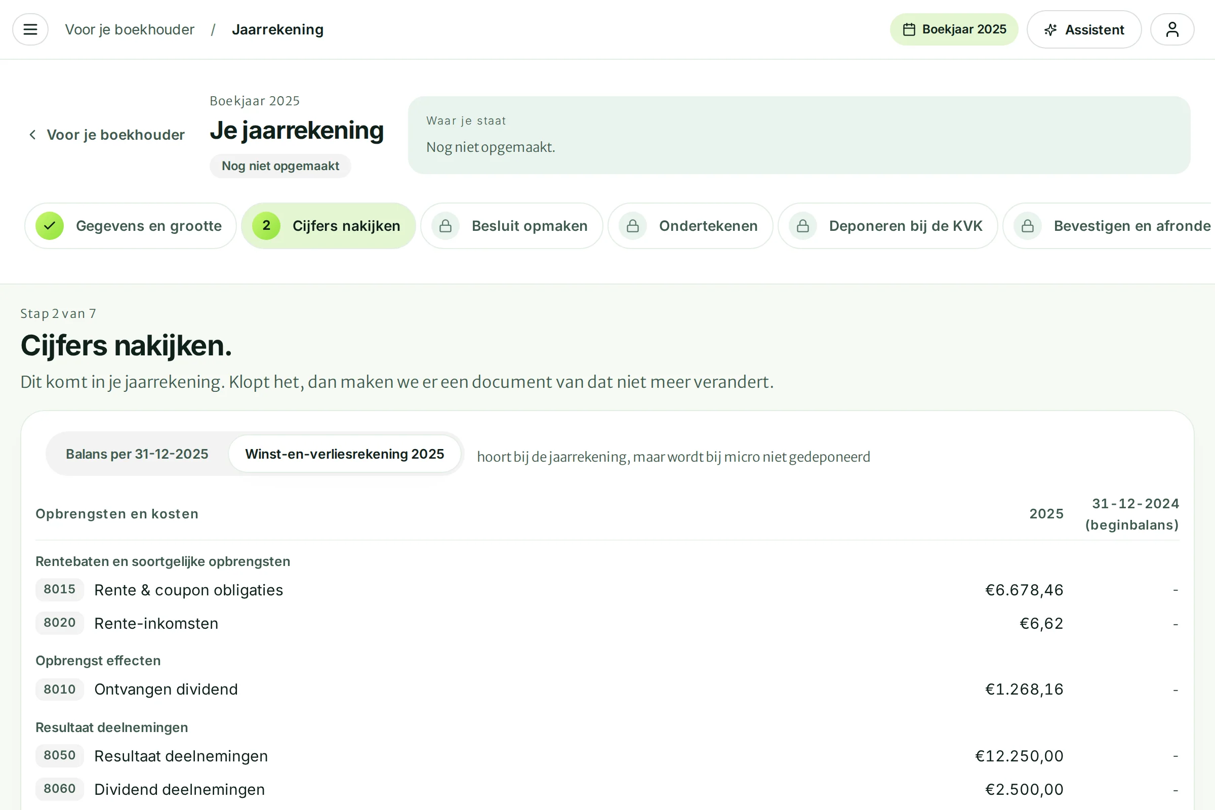 De tab Winst-en-verliesrekening 2025 met opbrengsten, kosten en het resultaat na belasting